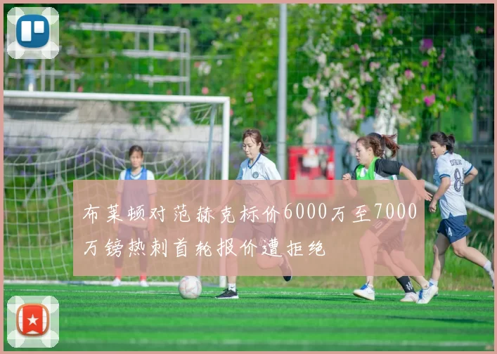 布莱顿对范赫克标价6000万至7000万镑热刺首轮报价遭拒绝
